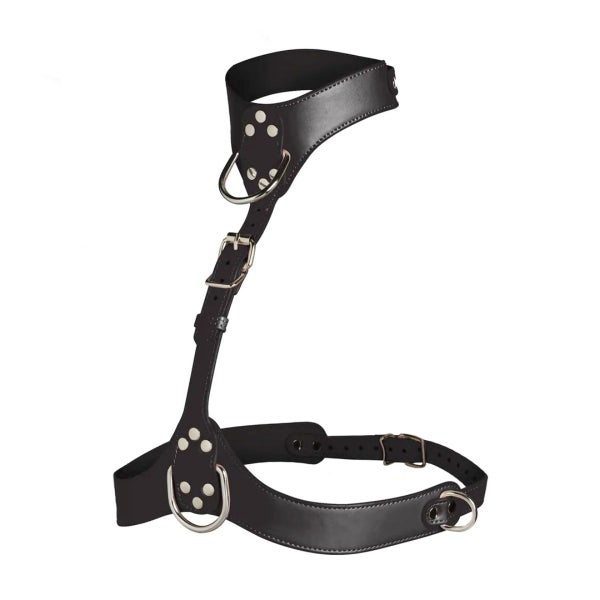 Vixen - Female Chest Harness