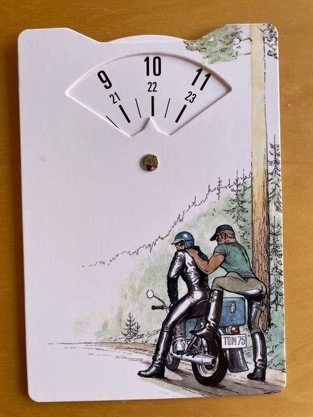 Tom of Finland -parkkikiekko  asennetta my&ouml;s pys&auml;k&ouml;intiin